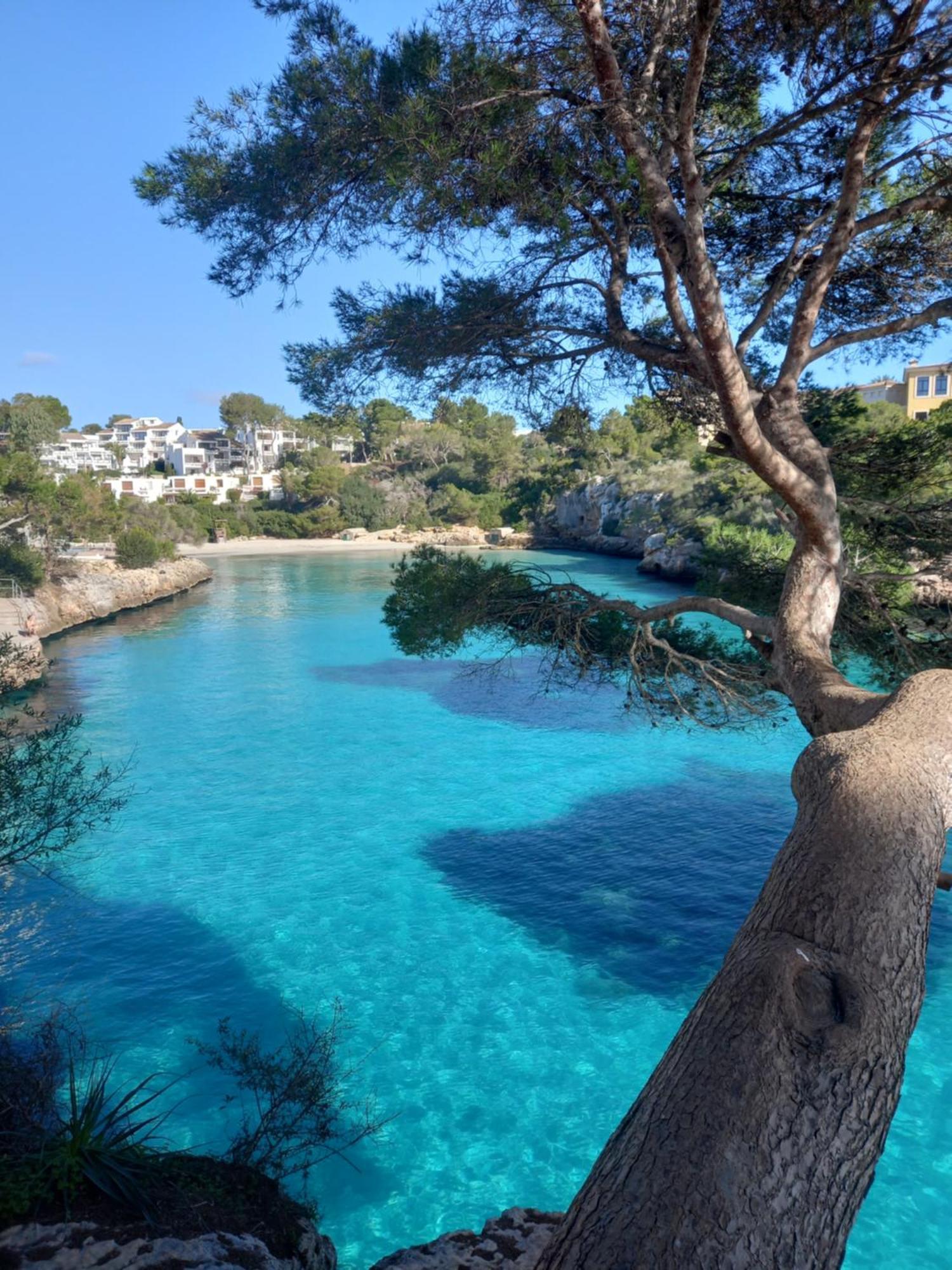 Appartement Ferrera Park Vue Mer Cala Ferrera  Eksteriør billede